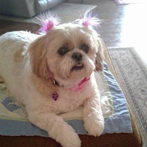 Meet your Posher, Peggy